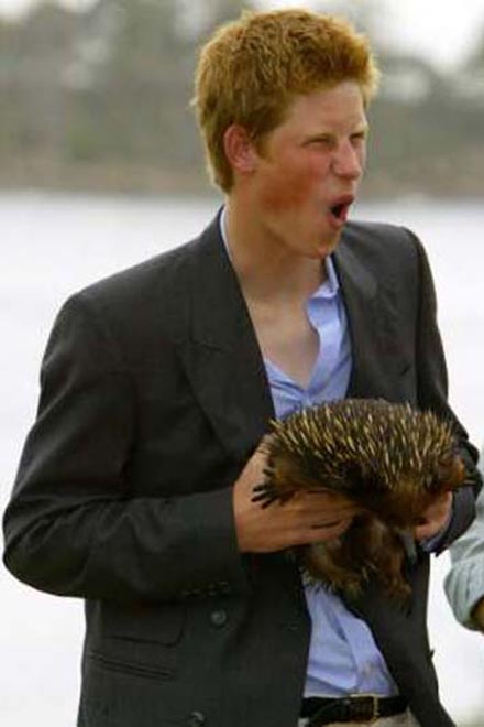 Prince Harry returns to active duty at Mahiki with party-going Bea and Eugenie