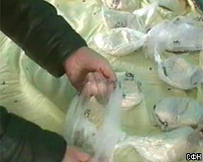 ООН разработало проект региональной программы по борьбе с наркотиками в Центральной Азии