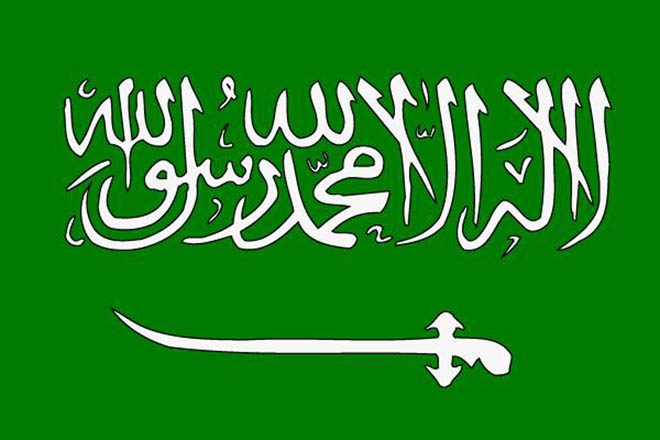 К нам едут журналисты  из Саудовской Аравии