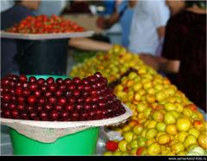 Russia bans vegetable imports from Germany and Spain