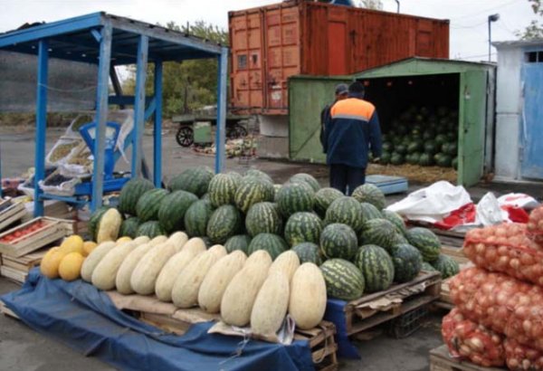 Kyrgyzstan's melon and gourd output reaches new heights in 2025