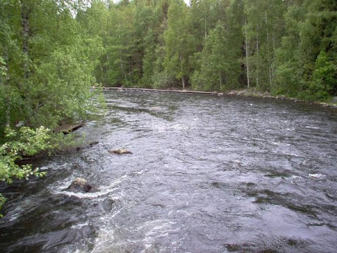 В реках Азербайджана уровень водности в четыре раза превышает норму