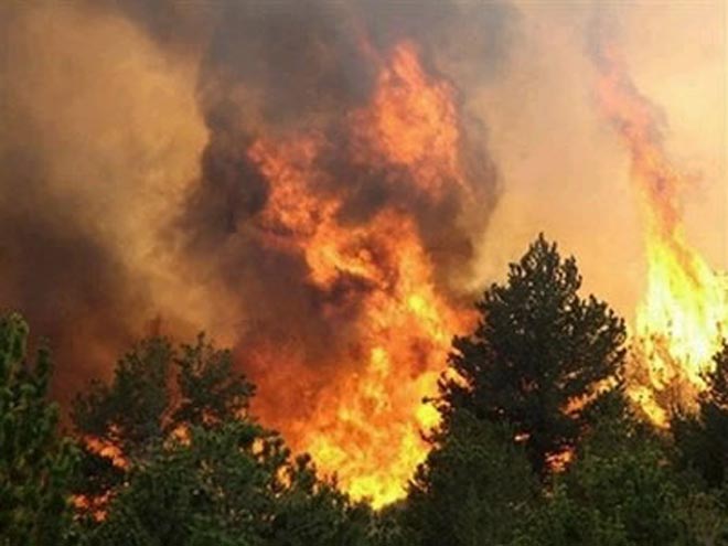 Flames near Athens recede after 3-day inferno