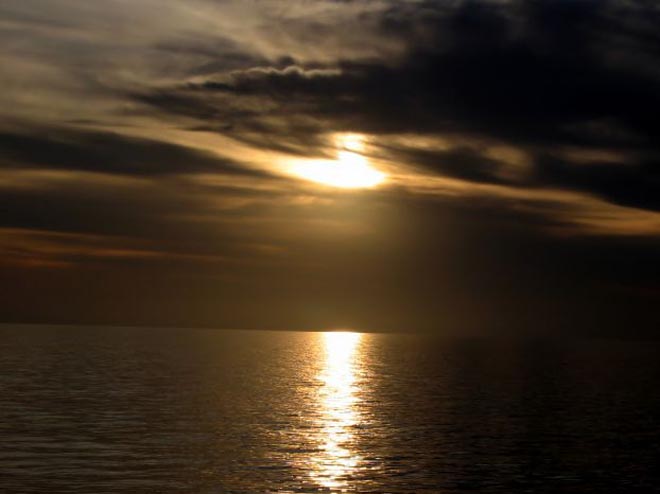 Astana to host meeting on imposing moratorium on commercial sturgeon fishing