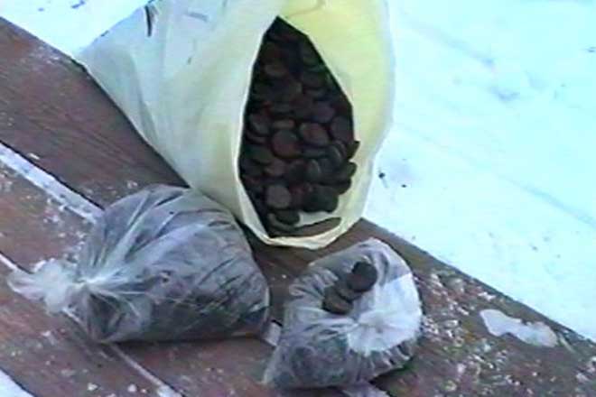 Turkish security forces seize 203.2 kg of hashish