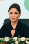 Youth Employment Key Priority of Azerbaijani Government: Heydar Aliyev Foundation President (video)