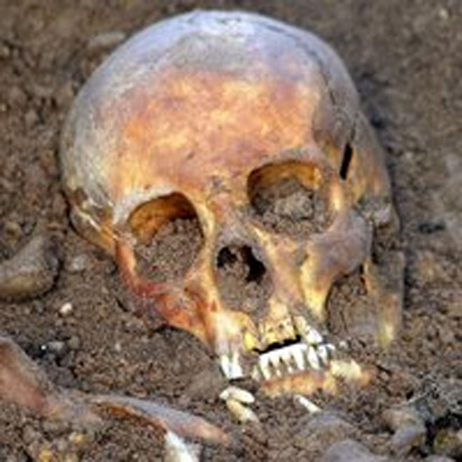 Скелет человека, жившего пять тысяч лет назад, найден в Марокко