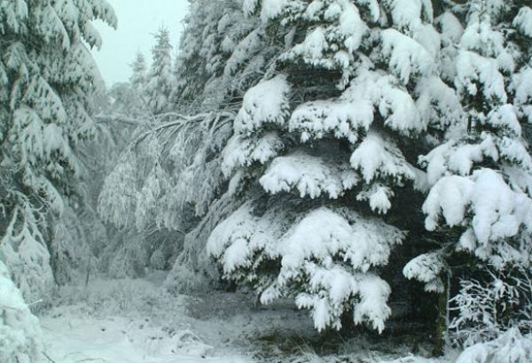 Оfficial says Afghan avalanches kill at least 124 people