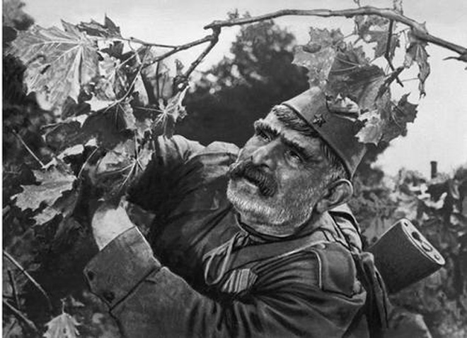 "Отцу солдата" Махарашвили или Серго из Баку исполнилось 100 лет