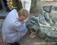 В Севастополе арестованы вандалы, разрушившие памятник азербайджанским воинам-освободителям (фотосессия)