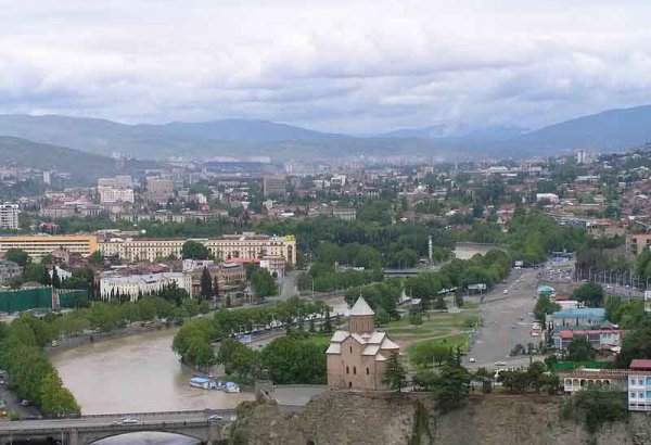 Georgian Patrol Police Chief leaves post