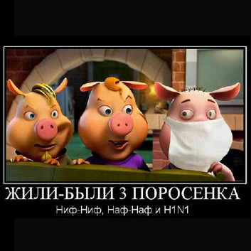 Здоровый образ жизни! Халал, харам, или о вреде свинины