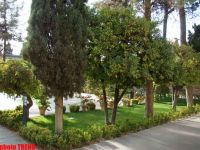 Шираз: в городе поэтов, памятников и садов (фотосессия)