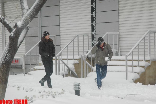 Пурга в Баку, или Cнежные страсти на улицах столицы (фотосессия)