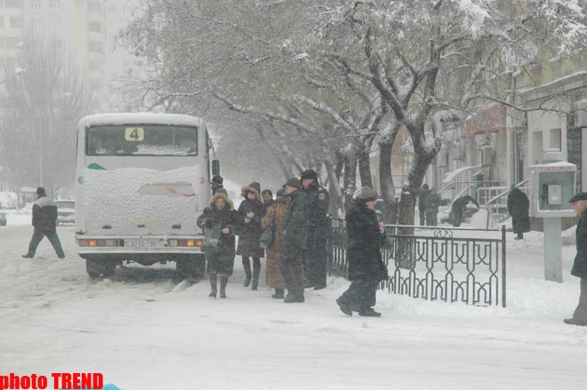 Пурга в Баку, или Cнежные страсти на улицах столицы (фотосессия)