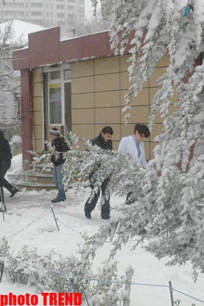 Пурга в Баку, или Cнежные страсти на улицах столицы (фотосессия)