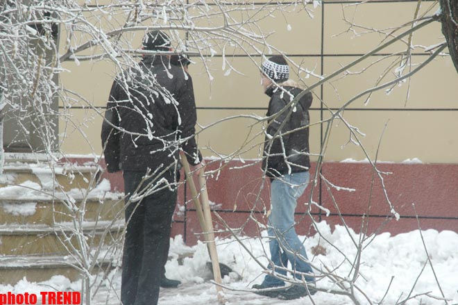 Пурга в Баку, или Cнежные страсти на улицах столицы (фотосессия)