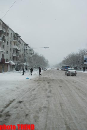 Пурга в Баку, или Cнежные страсти на улицах столицы (фотосессия)