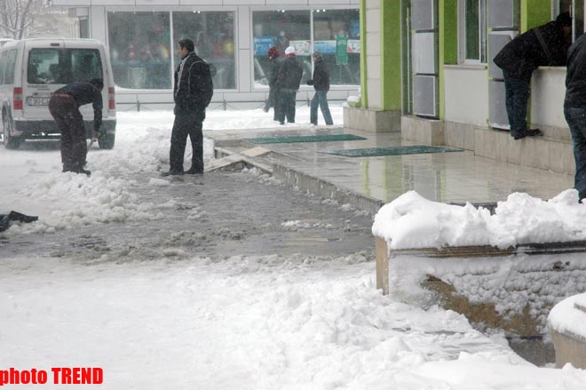 Пурга в Баку, или Cнежные страсти на улицах столицы (фотосессия)
