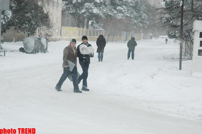 Пурга в Баку, или Cнежные страсти на улицах столицы (фотосессия)