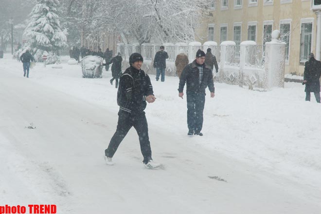 Пурга в Баку, или Cнежные страсти на улицах столицы (фотосессия)