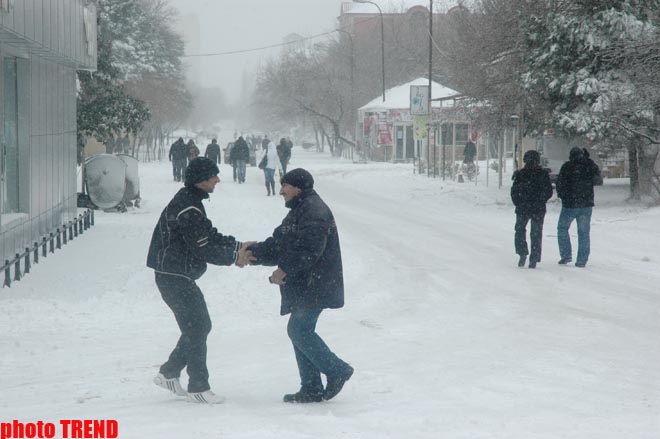 Пурга в Баку, или Cнежные страсти на улицах столицы (фотосессия)