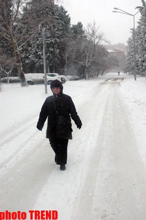 Пурга в Баку, или Cнежные страсти на улицах столицы (фотосессия)
