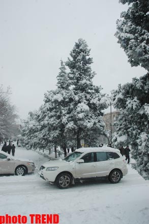 Пурга в Баку, или Cнежные страсти на улицах столицы (фотосессия)