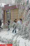 Пурга в Баку, или Cнежные страсти на улицах столицы (фотосессия)