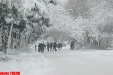 Пурга в Баку, или Cнежные страсти на улицах столицы (фотосессия)