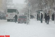 Пурга в Баку, или Cнежные страсти на улицах столицы (фотосессия)