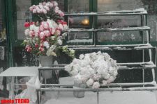 Пурга в Баку, или Cнежные страсти на улицах столицы (фотосессия)