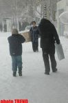 Пурга в Баку, или Cнежные страсти на улицах столицы (фотосессия)
