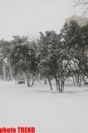 Пурга в Баку, или Cнежные страсти на улицах столицы (фотосессия)