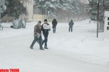 Пурга в Баку, или Cнежные страсти на улицах столицы (фотосессия)