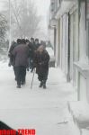 Пурга в Баку, или Cнежные страсти на улицах столицы (фотосессия)