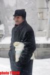 Пурга в Баку, или Cнежные страсти на улицах столицы (фотосессия)