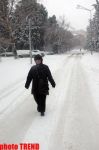 Пурга в Баку, или Cнежные страсти на улицах столицы (фотосессия)