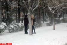 Пурга в Баку, или Cнежные страсти на улицах столицы (фотосессия)