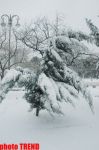 Пурга в Баку, или Cнежные страсти на улицах столицы (фотосессия)