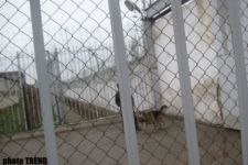 В азербайджанских тюрьмах инвалидов обеспечили новыми протезами (фотосессия)