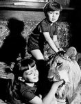 Евгений Евстигнеев и последняя роль кинозвезды Льва Кинга из Баку (фото)