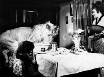 Кинг I и Кинг II, или Трагедия семьи Берберовых - от славы к кровавой развязке (фотосессия)