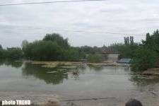 Стихийное бедствие, вызванное разливом реки Кура (ФОТОСЕССИЯ)