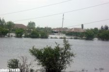 Стихийное бедствие, вызванное разливом реки Кура (ФОТОСЕССИЯ)
