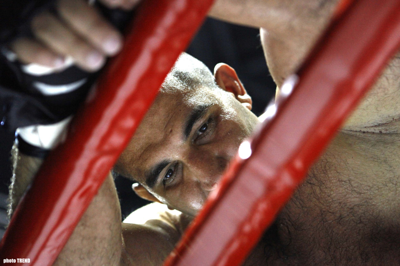 Baku hosts int’l tournament on pankration ‘Azerbaijan against Europe’ (photo)