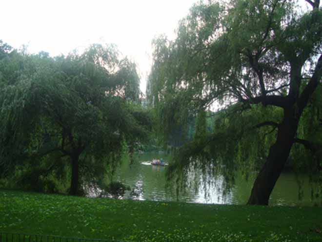 Центральный парк (Нью-Йорк)