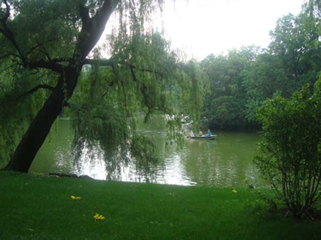 Центральный парк (Нью-Йорк)