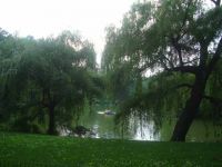 Центральный парк (Нью-Йорк)