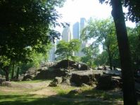 Центральный парк (Нью-Йорк)